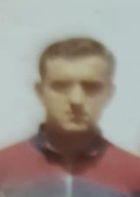 Bassani Guido