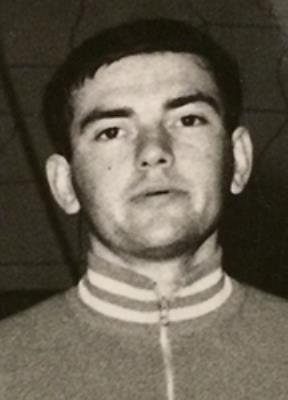 Meldolesi Guido