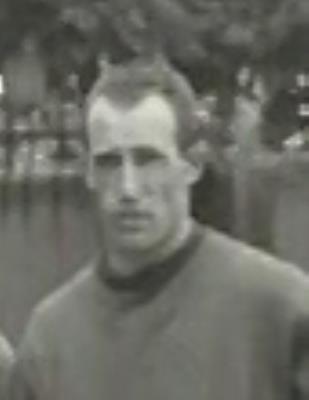 Rinaldi Carlo