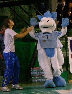 img_id_10250.jpg