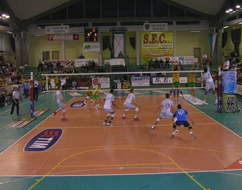 img_id_10553.jpg
