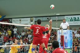 img_id_10741.jpg