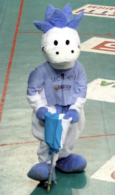 img_id_12245.jpg