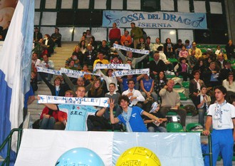 img_id_12271.jpg
