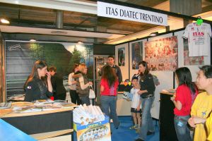 img_id_12336.jpg