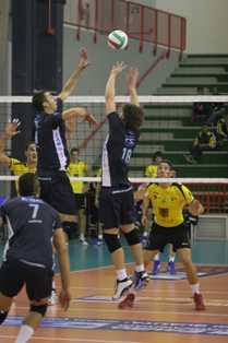 img_id_15142.jpg