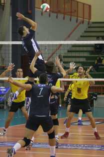 img_id_15388.jpg