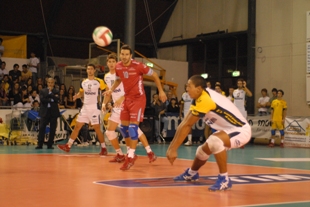 img_id_15591.jpg