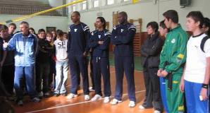 img_id_15610.jpg