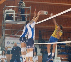 img_id_15901.jpg