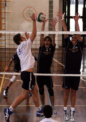 img_id_16075.jpg