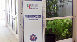 img_id_24258.jpg