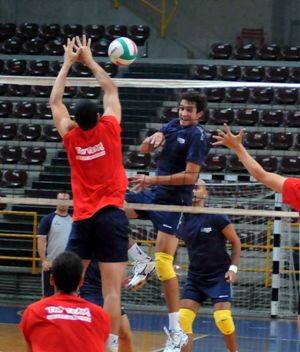 img_id_24619.jpg