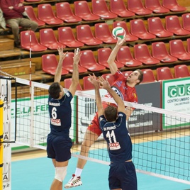 img_id_31393.jpg