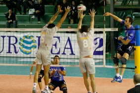 img_id_31795.jpg