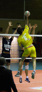 img_id_31880.jpg