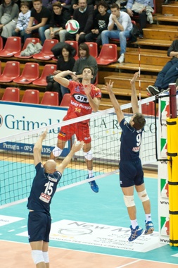 img_id_31961.jpg