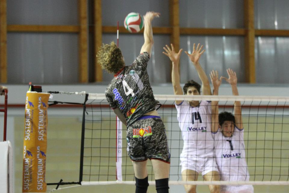 img_id_39697.jpg