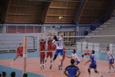 img_id_46719.jpg