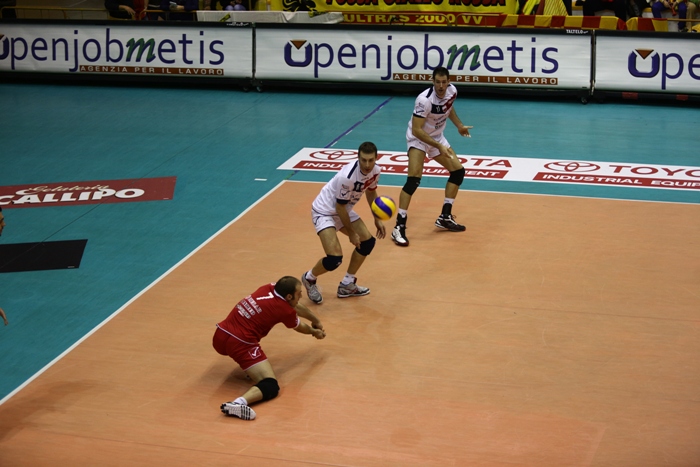 img_id_50608.jpg