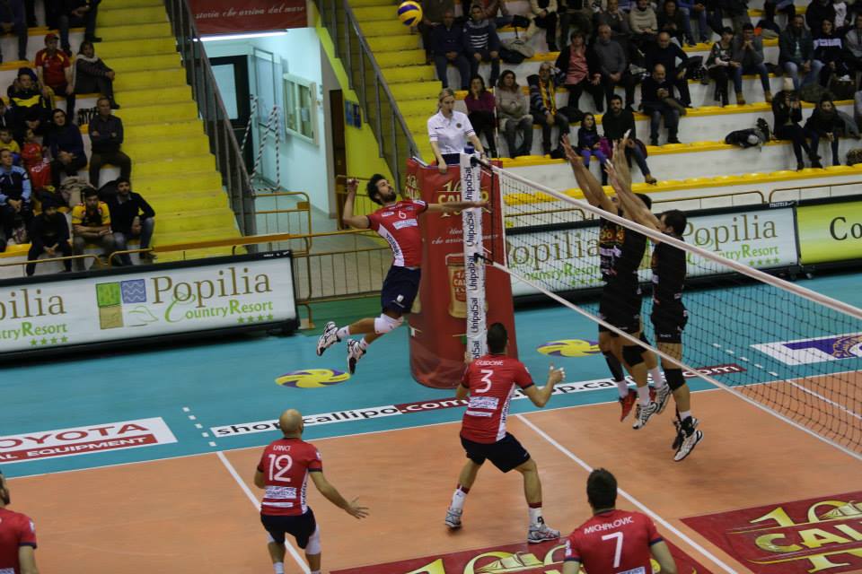 img_id_55079.jpg