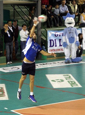 img_id_6572.jpg