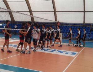 Loss versus Treviso