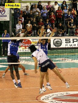 img_id_6715.jpg