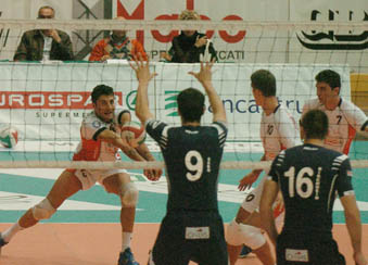 img_id_6795.jpg