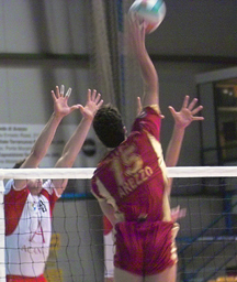 img_id_6837.jpg