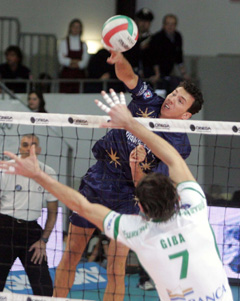 img_id_7038.jpg