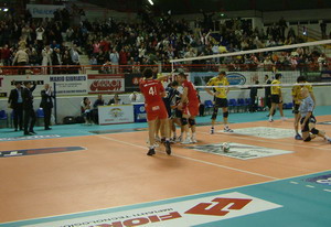 img_id_7042.jpg