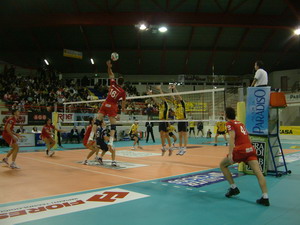 img_id_7219.jpg