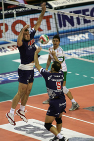 img_id_7224.jpg