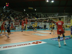 img_id_7227.jpg