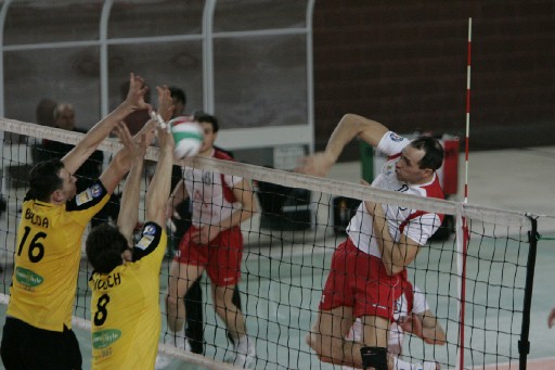 img_id_7229.jpg