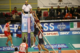 img_id_7241.jpg