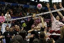 img_id_7357.jpg
