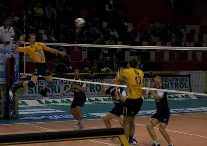img_id_7943.jpg