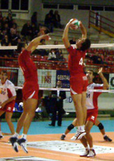 img_id_8082.jpg