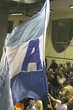 img_id_8222.jpg