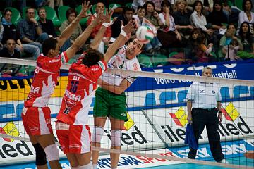 img_id_8437.jpg