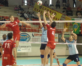 img_id_8464.jpg