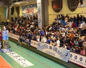 img_id_8467.jpg