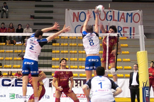 img_id_8483.jpg