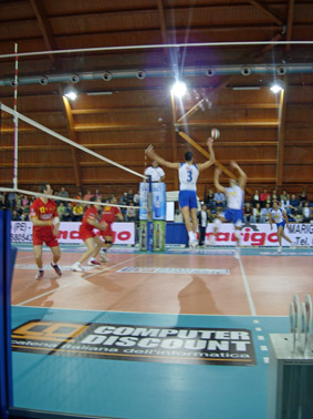 img_id_8484.jpg