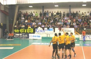 img_id_8537.jpg