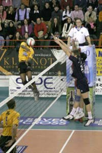 img_id_8552.jpg