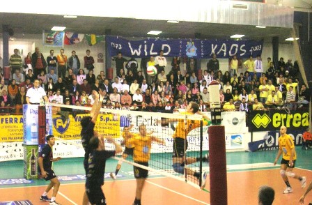 img_id_8604.jpg