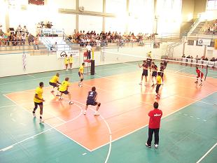 img_id_9692.jpg
